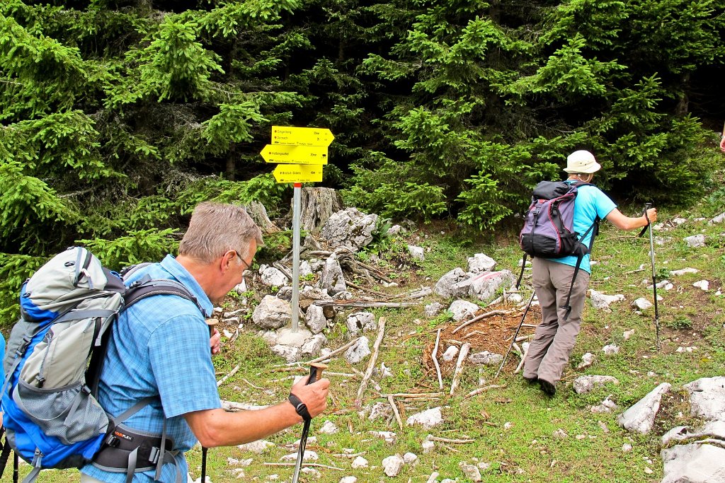 11 hier geht es zur hoechsten Erhebung.jpg